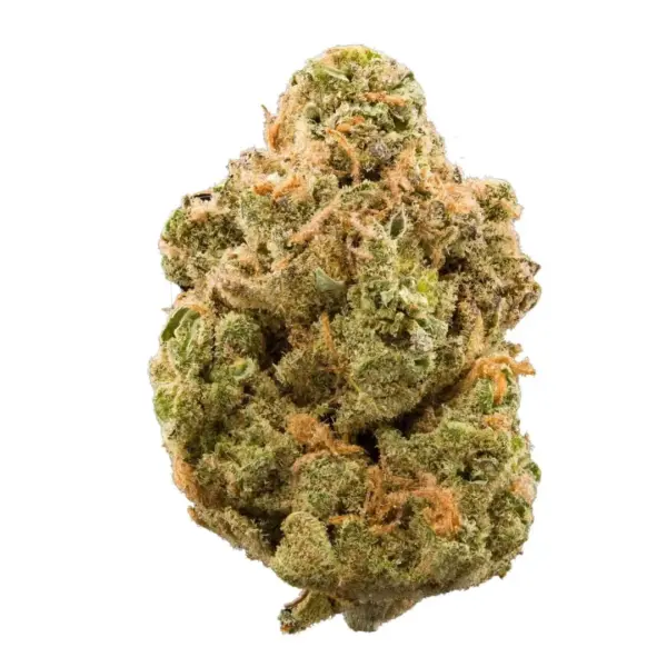 Super Glue